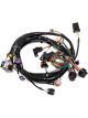 Holley Wiring Harness EFI Main Harness Holley HP Dominator Chevrolet P