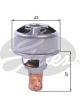 Gates Thermostat