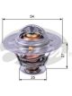 Gates Thermostat