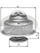 Gates Thermostat + Gaskets & Seals