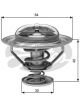 Gates Thermostat + Gaskets & Seals