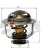 Gates Thermostat + Gaskets & Seals
