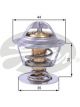 Gates Thermostat + Gaskets & Seals