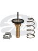 Gates Thermostat + Gaskets & Seals