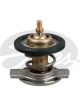 Gates Thermostat + Gaskets & Seals