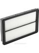 Ryco Air Filter