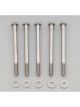 ARP Bolt Kit 12PT 5/16