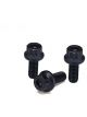 ARP Bolt Kit 12PT 5/16