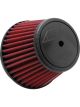AEM DryFlow Air Filter