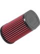 AEM DryFlow Air Filter
