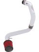 AEM Cold Air Intake