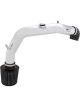 AEM Cold Air Intake