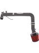 AEM Cold Air Intake