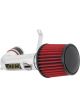AEM Cold Air Intake