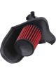 AEM Cold Air Intake