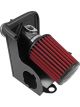 AEM Cold Air Intake