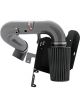 AEM Brute Force Intake