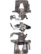 Protex Caliper