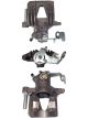 Protex Caliper