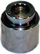 Protex Caliper Piston