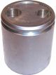 Protex Caliper Piston
