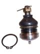 Protex Lower Ball Joint