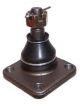 Protex Lower Ball Joint