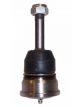 Protex OversizedLower Ball Joint