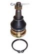 Protex Ball Joint