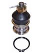 Protex Ball Joint