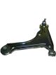 Protex Control Arm