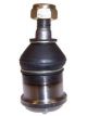 Protex Lower Ball Joint