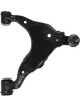 Protex Control Arm
