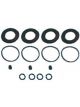 Protex Disc Caliper Repair Kit