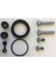Protex Disc Caliper Repair Kit