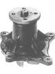 Protex Water Pump