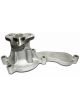 Protex Gold Premium Water Pump