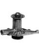 Protex Water Pump