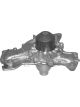 Protex Water Pump