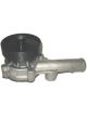 Protex Water Pump