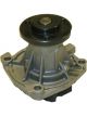 Protex Water Pump