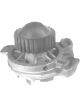 Protex Water Pump