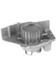 Protex Water Pump