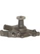 Protex Water Pump