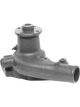 Protex Water Pump