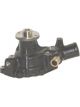 Protex Water Pump