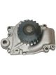 Protex Water Pump