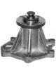 Protex Water Pump