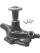 Protex Water Pump