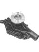 Protex Water Pump